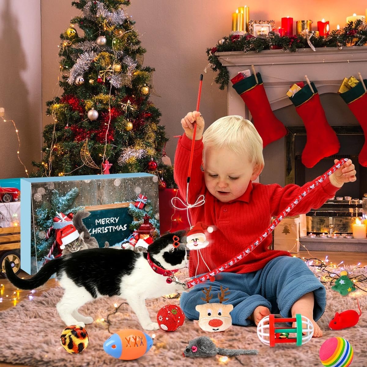 ๐ฑ Kitty Christmas Advent Calendar 2025 ๐